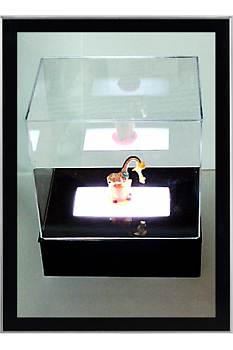 Фото magnetic frame light box set b1+ (1020x720) silver + black  с двумя сменными лицевыми панелями из каталога интернет-магазина Оргстекло-Маркет